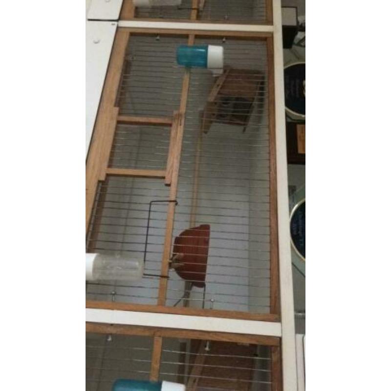 Te koop broedkooien 5 x 4 kooien aaneen van 2.45cm breed