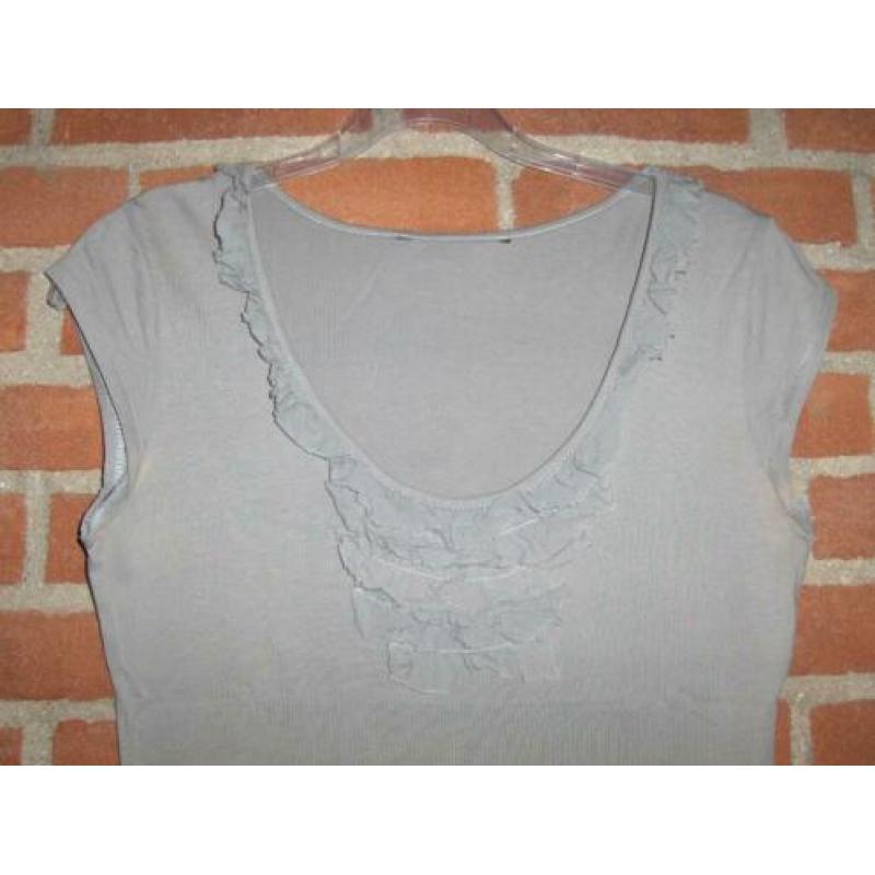 Grijs T-Shirt met Roes mt S (925)