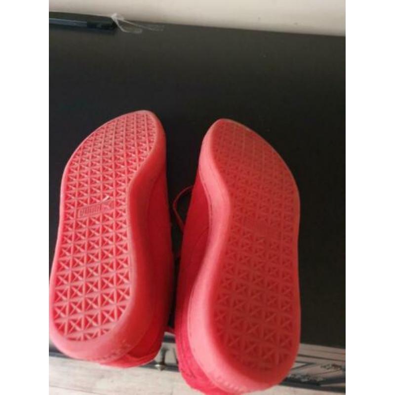 Puma gympen maat 40,5