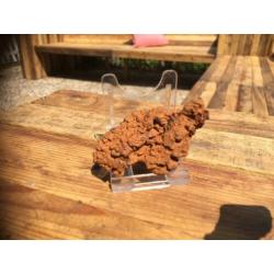 Dinosauruspoep COPROLITE