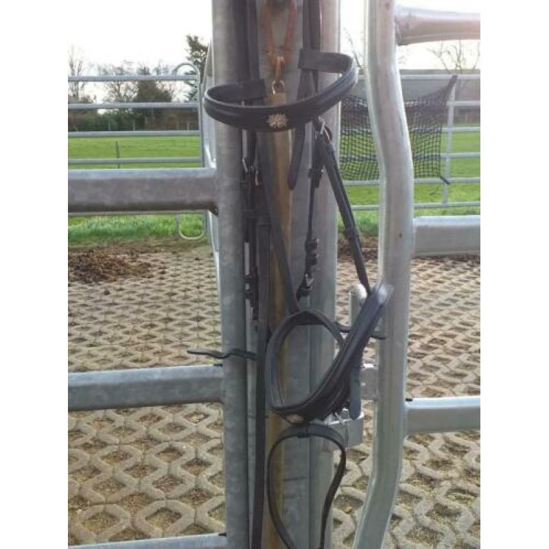 Te koop haflinger hoofdstel