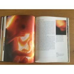 Het grote wonder Babyboek