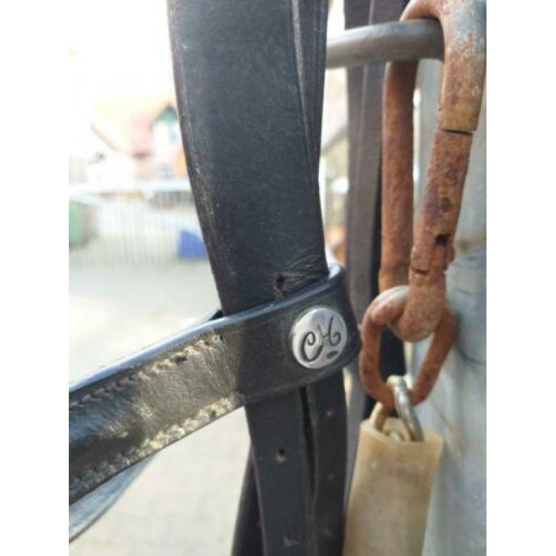 Te koop haflinger hoofdstel