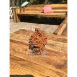 Dinosauruspoep COPROLITE
