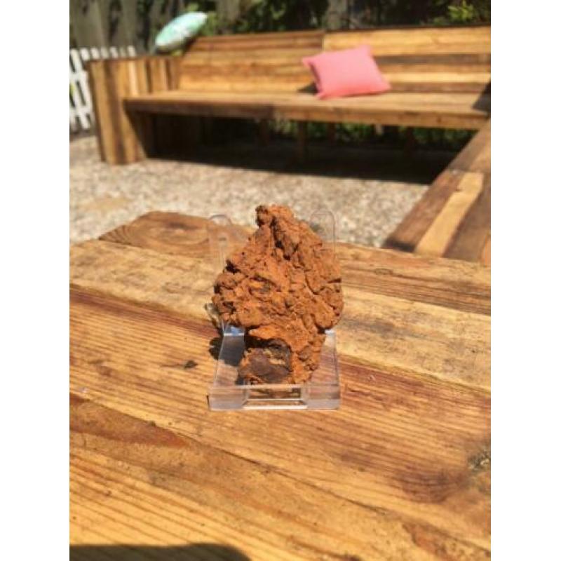Dinosauruspoep COPROLITE