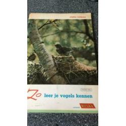 Zo leer je vogels kennen