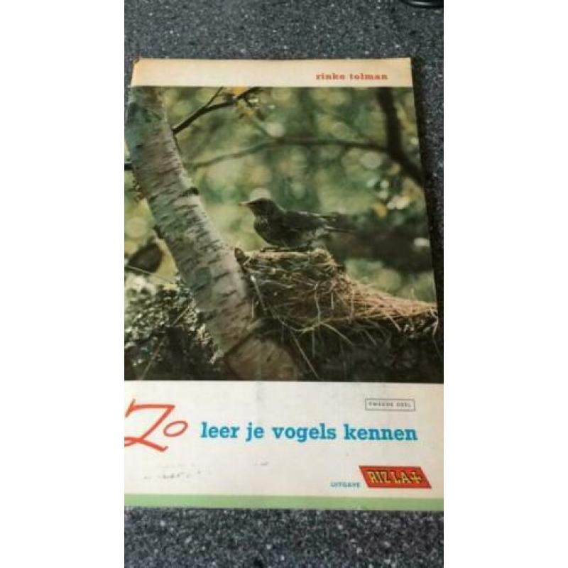 Zo leer je vogels kennen