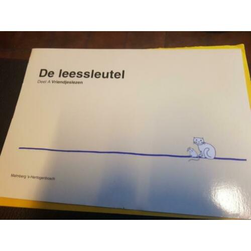 Groep 3 de leessleutel vriendjeslezen beginnend leesonderwij