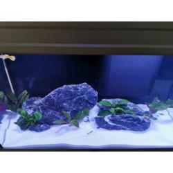 Het BIOBOX®2 filtersysteem