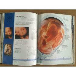 Het grote wonder Babyboek