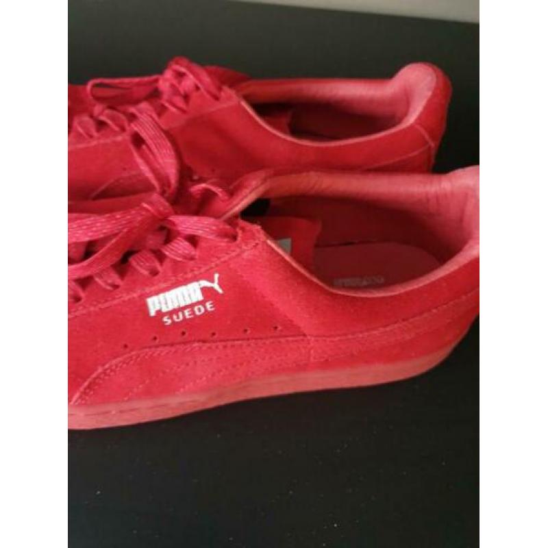 Puma gympen maat 40,5