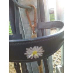 Te koop haflinger hoofdstel