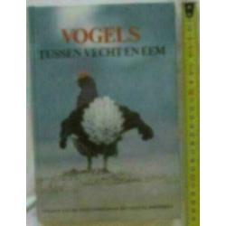 Vogels tussen Vecht en Eem