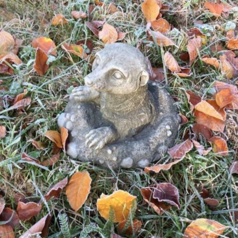 stokstaartje-tuindecoratie-stenen dierfiguren-tuin-deco