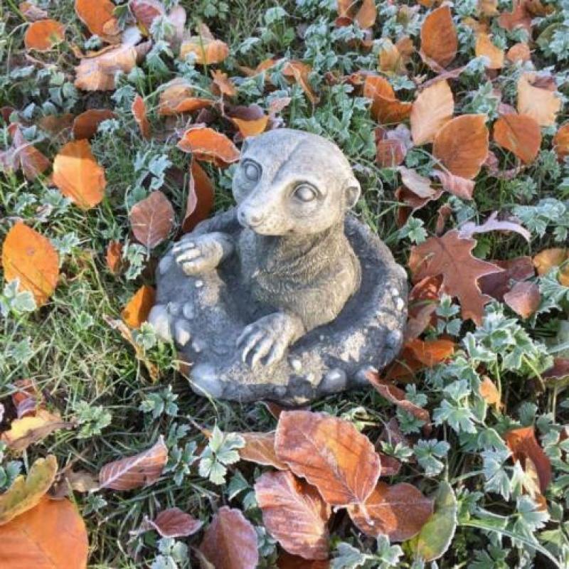 stokstaartje-tuindecoratie-stenen dierfiguren-tuin-deco