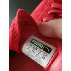 Puma gympen maat 40,5