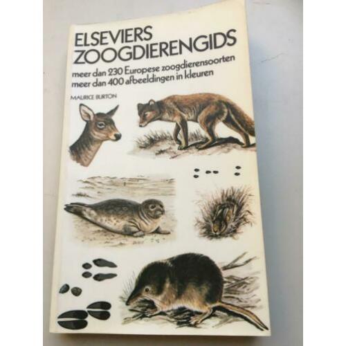 Elseviers zoogdierengids