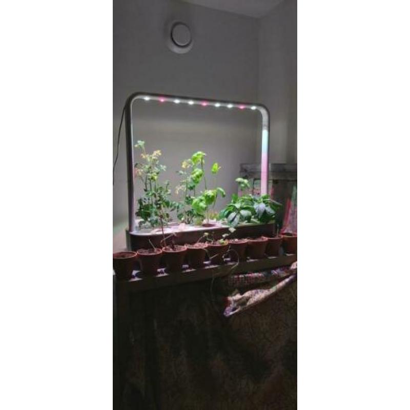 Click and grow, smart garden 9 inc 3 plantpods