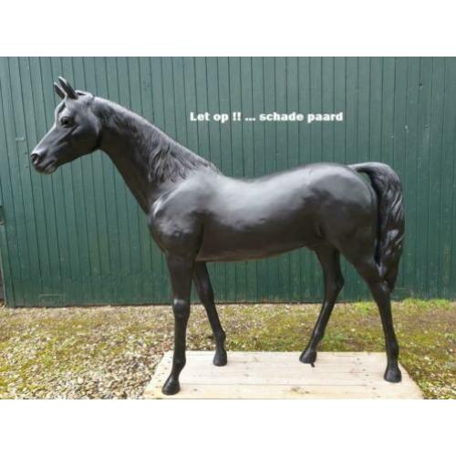 Polyester Paard .... met storm schade .