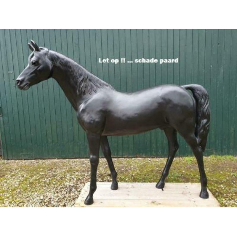 Polyester Paard .... met storm schade .