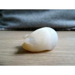 Vijf verschillende miniatuur varkentjes van natuursteen