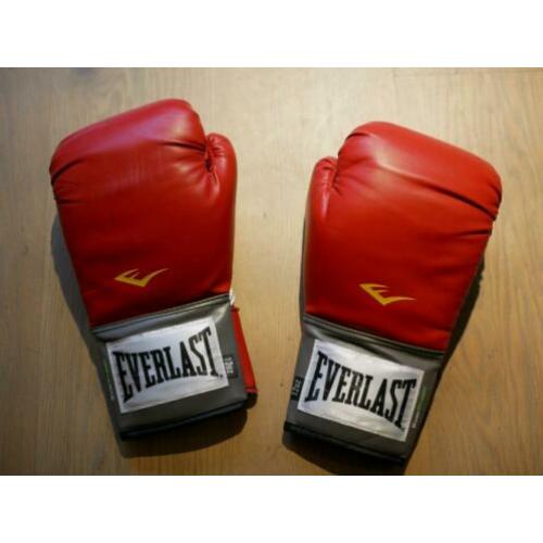 Rode Everlast bokshandschoenen - 12 OZ
