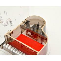 Mooi doorzichtig Vleugel model/Miniatuur met Speeldoos.