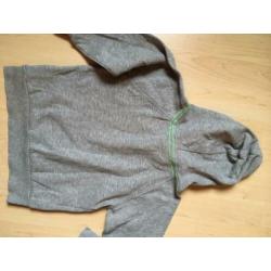MOLO als nieuw sweater fluor ster