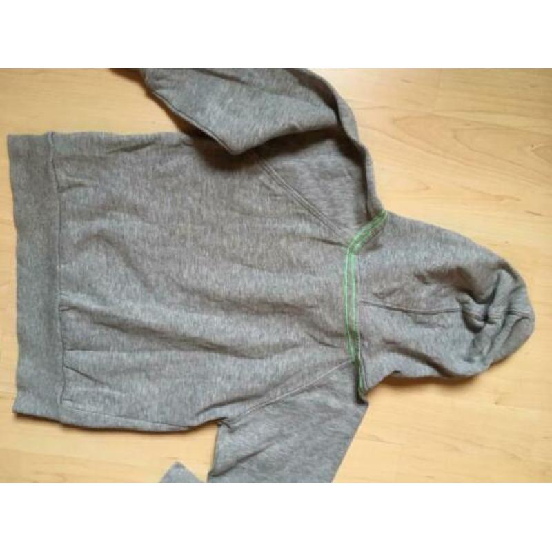 MOLO als nieuw sweater fluor ster
