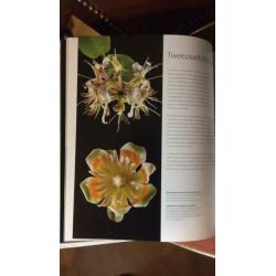 Botanisch boek voor tekenen.