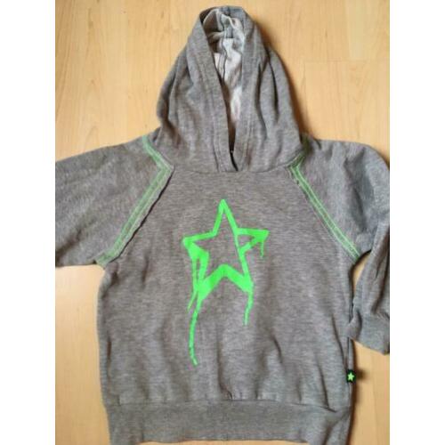 MOLO als nieuw sweater fluor ster