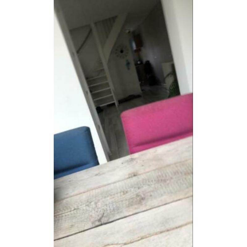 Puppia hondenjasje maat l
