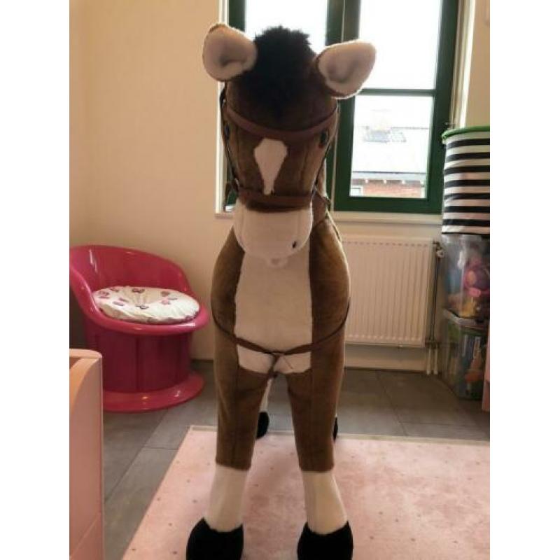 Grote paard bruin wit kleur