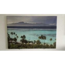 Hoeslakens wit 140x200cm
