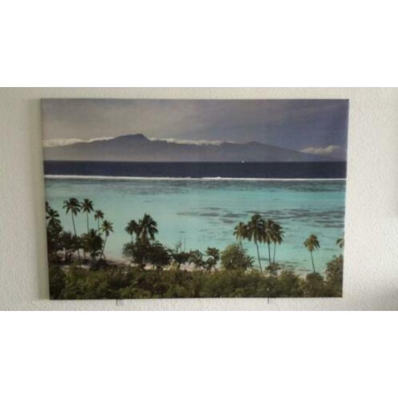 Hoeslakens wit 140x200cm