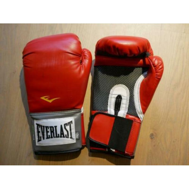 Rode Everlast bokshandschoenen - 12 OZ