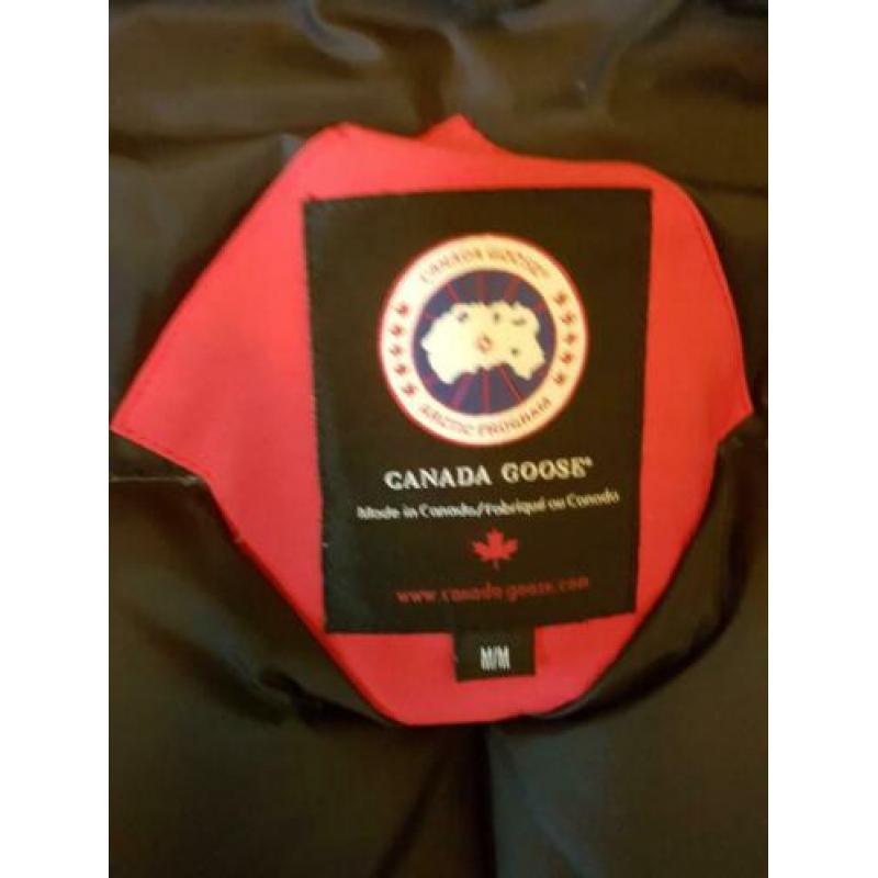 Canada goose parka Expedition