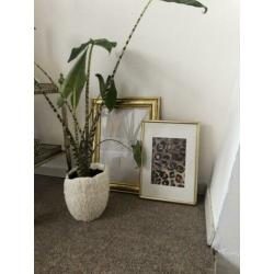 Gouden lijst met moderne print