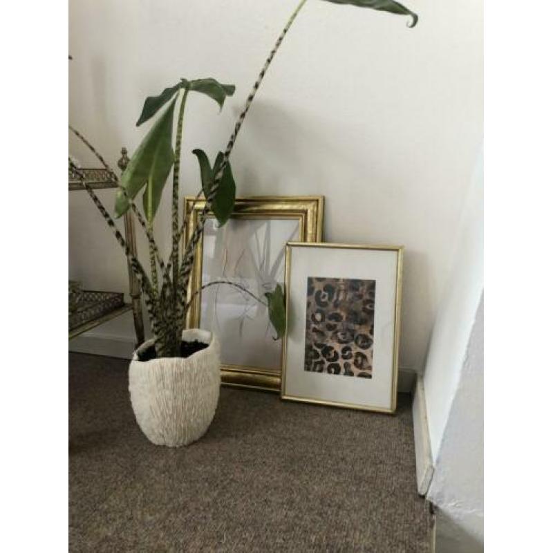 Gouden lijst met moderne print