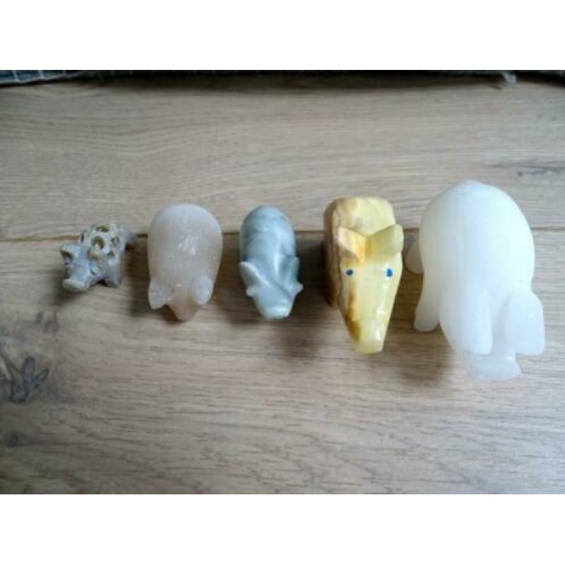 Vijf verschillende miniatuur varkentjes van natuursteen
