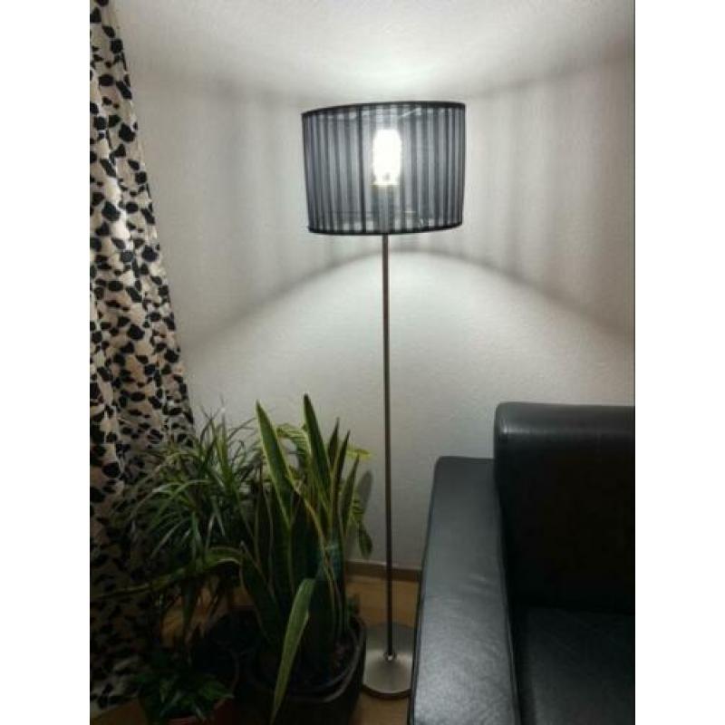 Lampen