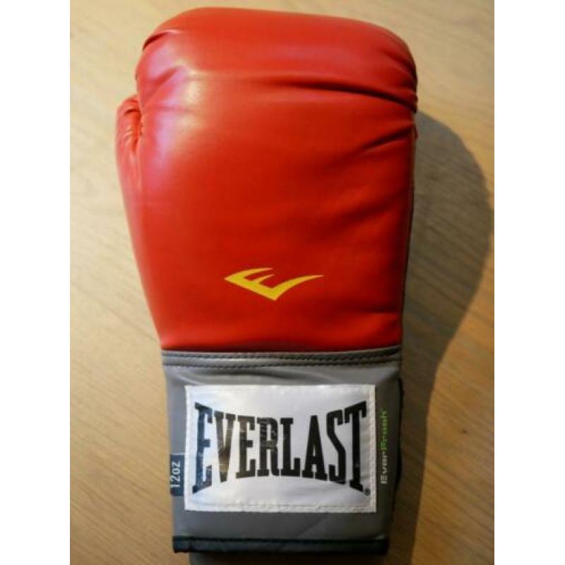 Rode Everlast bokshandschoenen - 12 OZ