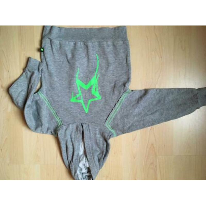 MOLO als nieuw sweater fluor ster