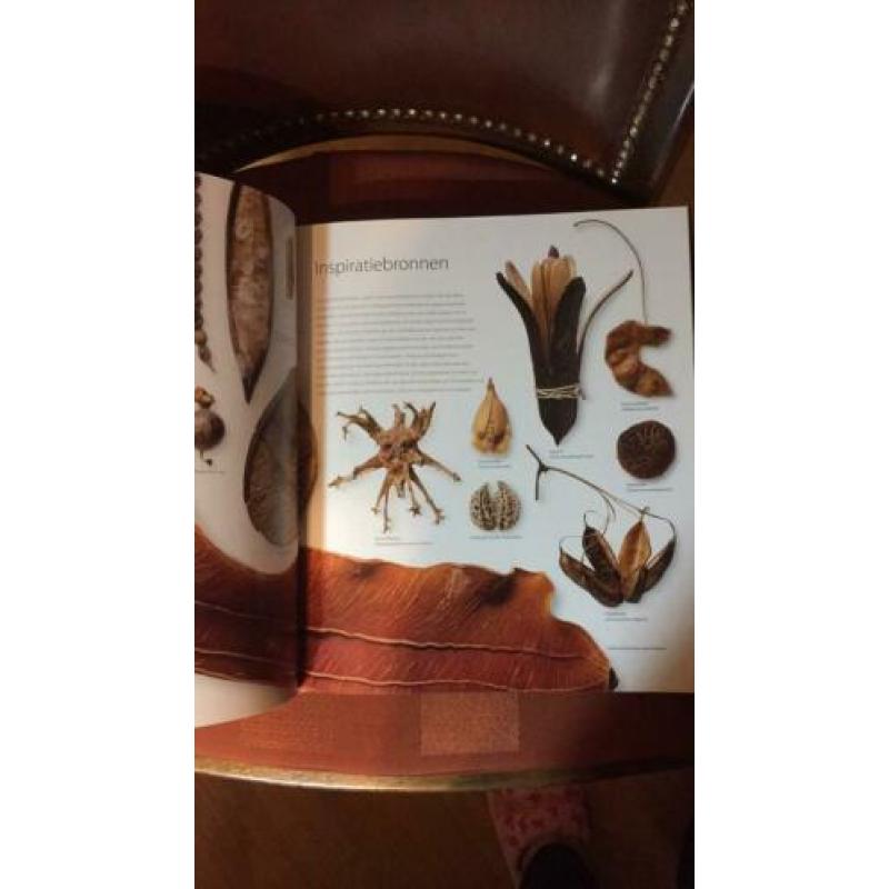 Botanisch boek voor tekenen.