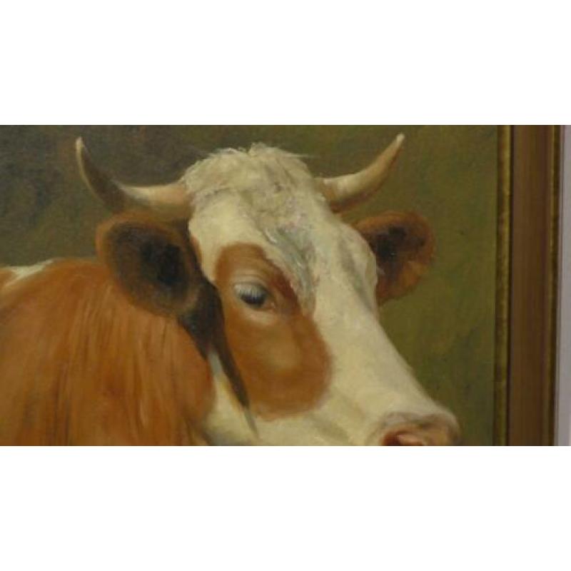 Prachtig portret van koe van beroemde Duitse schilder