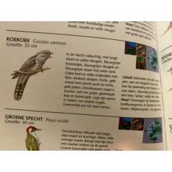 Vogels kijken, boekje met verrekijker voor kinderen