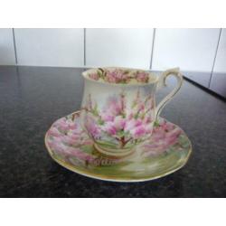 royal albert kopjes