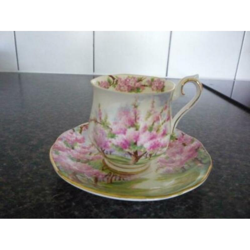 royal albert kopjes