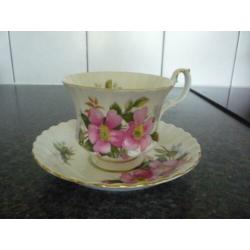 royal albert kopjes