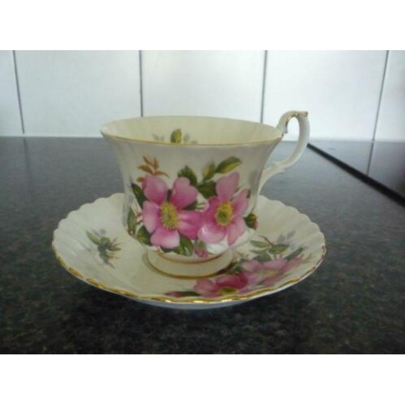 royal albert kopjes
